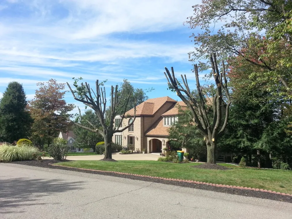 Reliable outdoor landscaping near you in Cheswick, PA by Gene's Tree and Landscaping