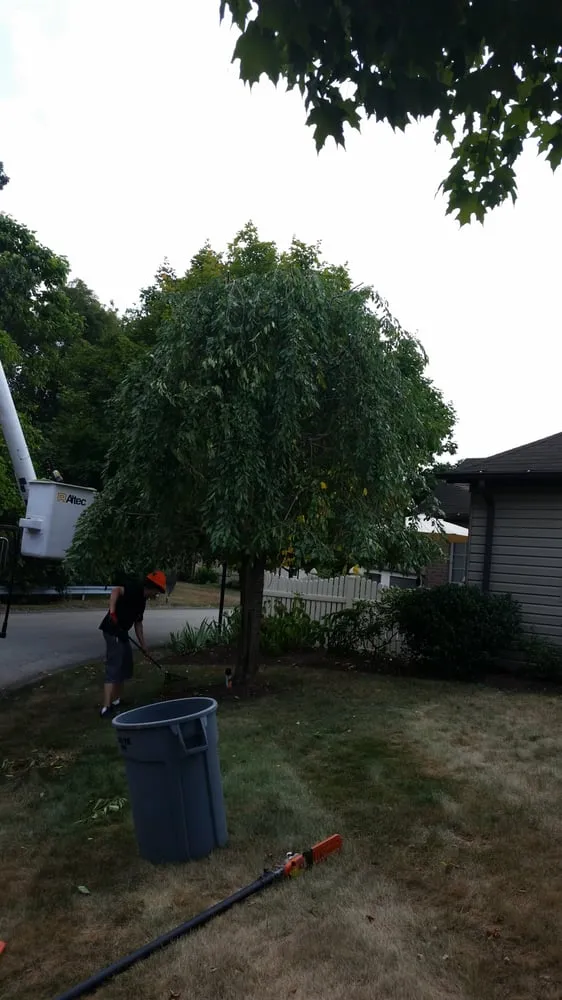 Local residential landscaping for homes across Cheswick, PA - Gene's Tree and Landscaping