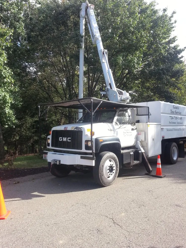Trusted landscape design in Cheswick, PA - Gene's Tree and Landscaping
