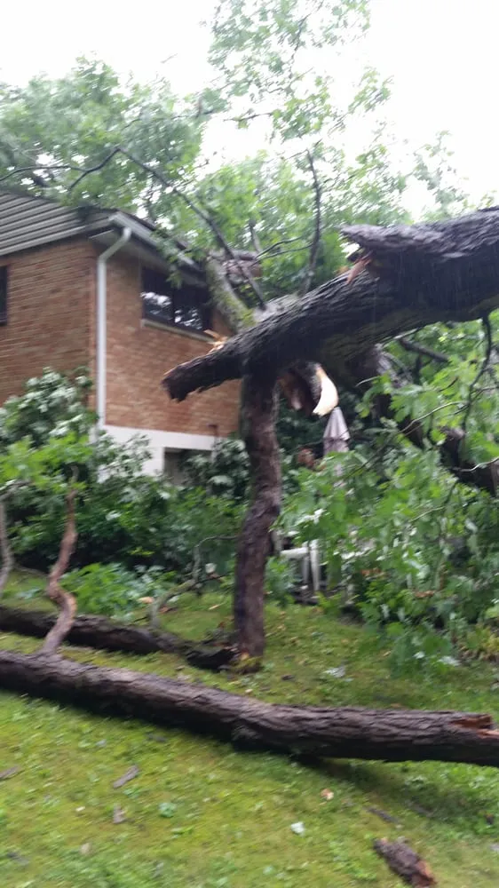 Trusted landscaping services in Cheswick, PA - Gene's Tree and Landscaping