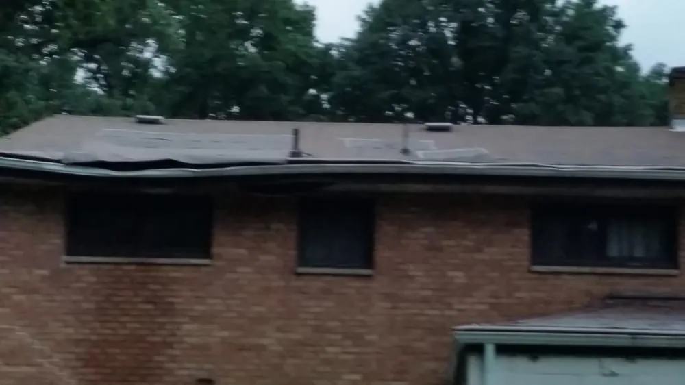 Top-rated lawn mowing service experts serving Cheswick, PA - Gene's Tree and Landscaping