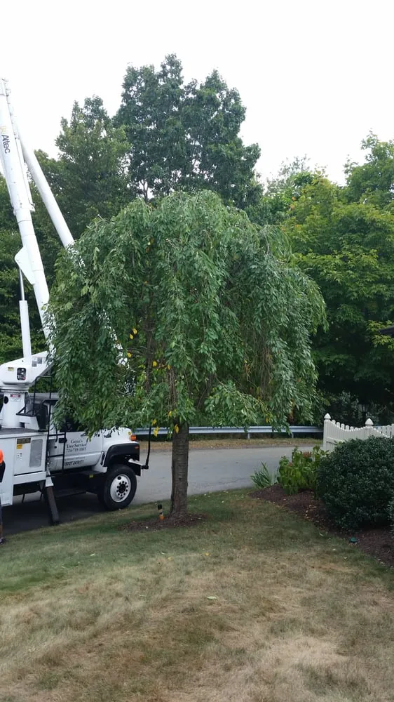 Affordable residential landscaping near you across Cheswick, PA - Gene's Tree and Landscaping