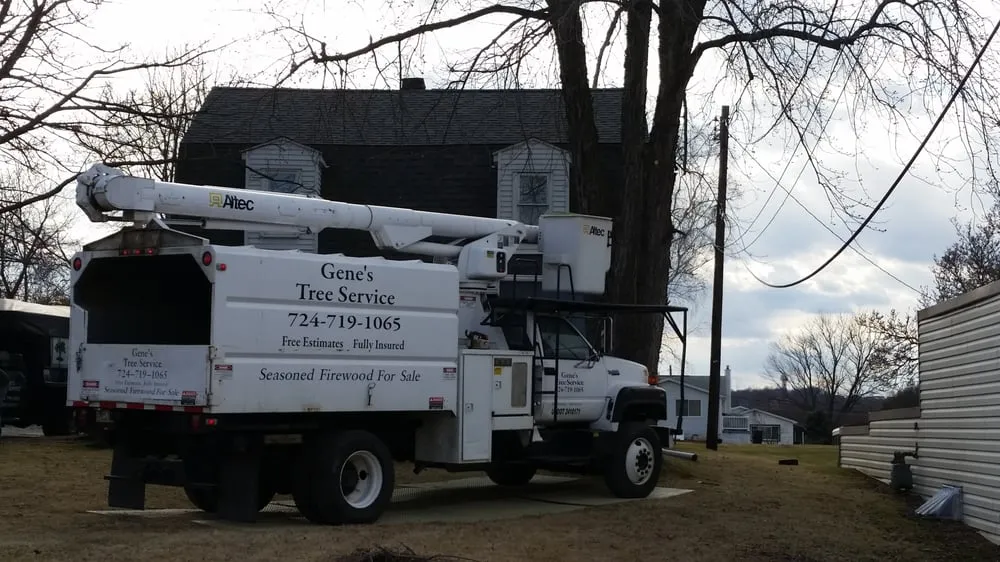 Top-rated landscaping services experts serving Cheswick, PA - Gene's Tree and Landscaping