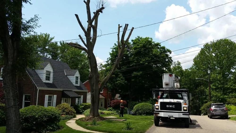 Professional yard maintenance for outdoor upgrades in Cheswick, PA by Gene's Tree and Landscaping