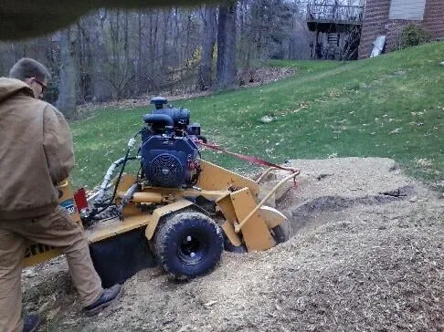 Trusted residential landscaping with custom design across Cheswick, PA - Gene's Tree and Landscaping
