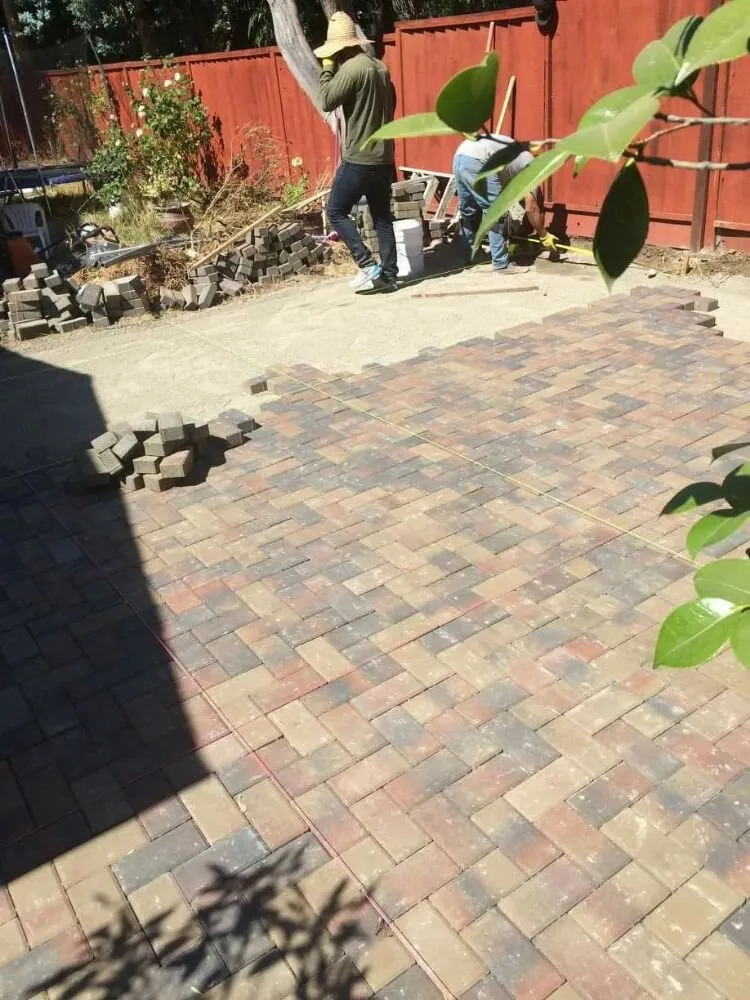 Custom lawn care service for beautiful yards in Santa Clara, CA by Genesis Concrete and Landscape