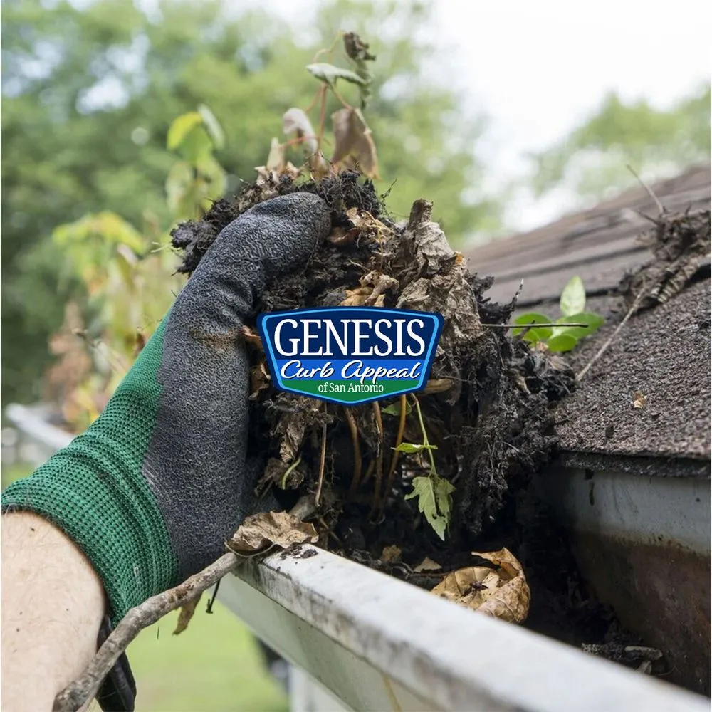 Trusted landscaping services in San Antonio, TX by Genesis Curb Appeal