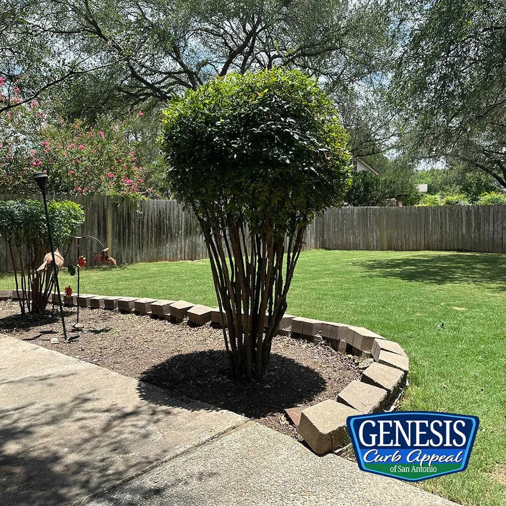 Reliable lawn mowing service for outdoor upgrades in San Antonio, TX by Genesis Curb Appeal