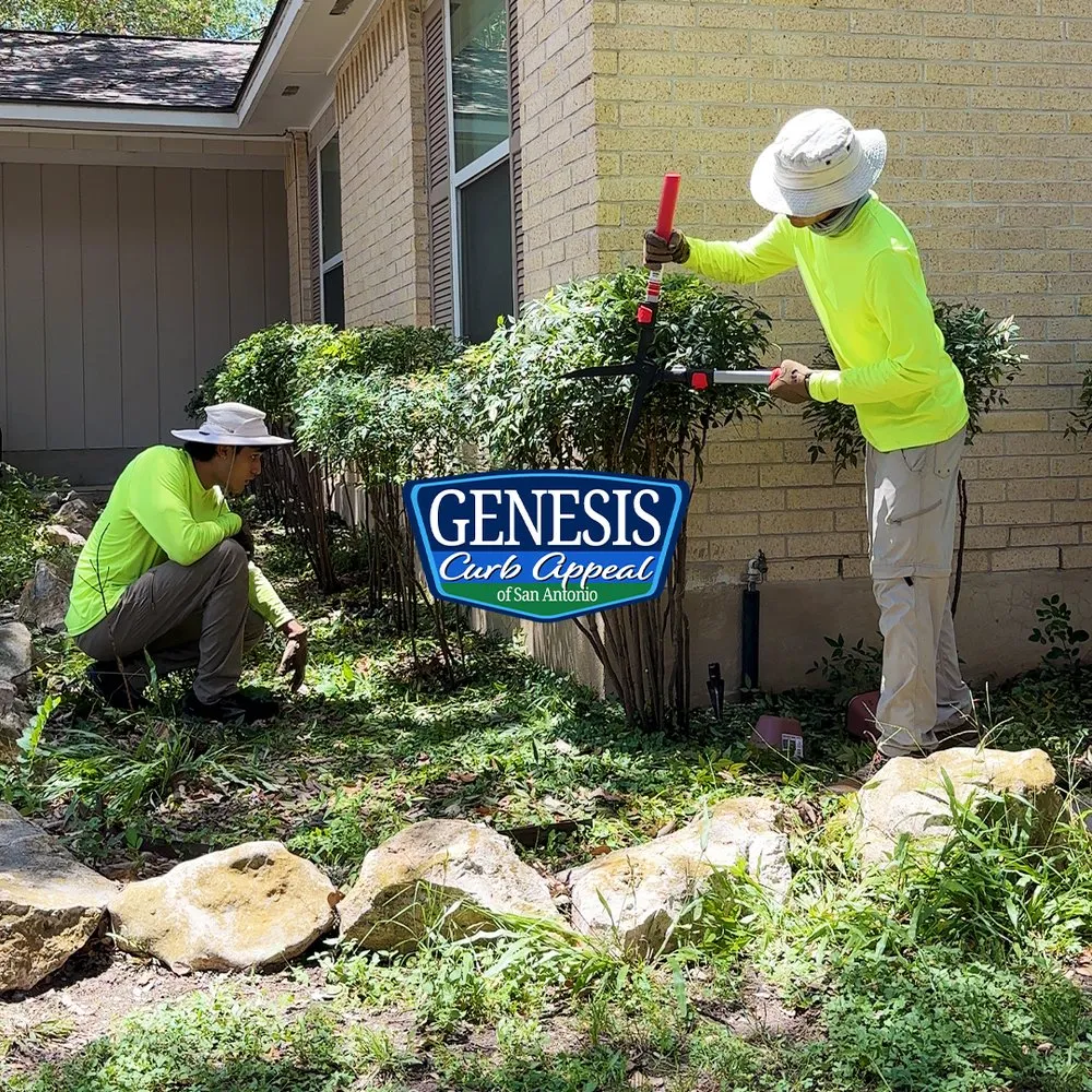 Top-rated lawn care service in San Antonio, TX - Genesis Curb Appeal
