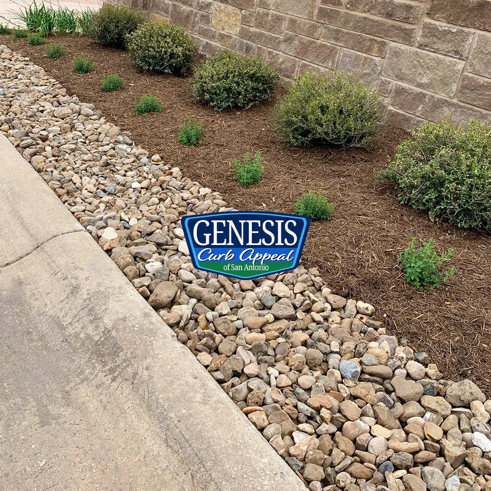 Reliable yard cleanup service in San Antonio, TX by Genesis Curb Appeal