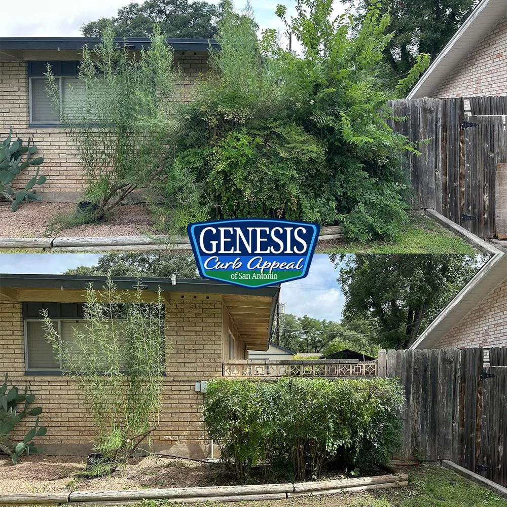 Trusted residential landscaping for year-round maintenance in San Antonio, TX by Genesis Curb Appeal