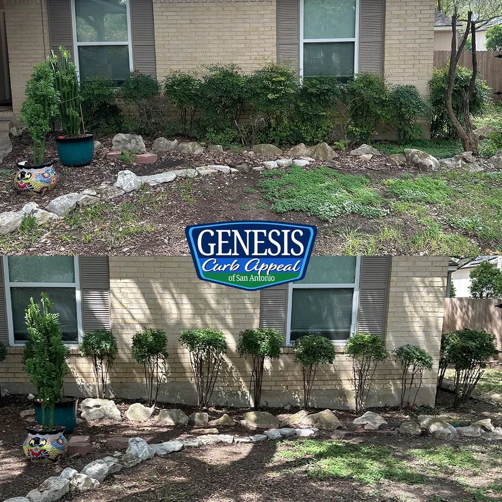 Professional yard maintenance with custom design in San Antonio, TX by Genesis Curb Appeal