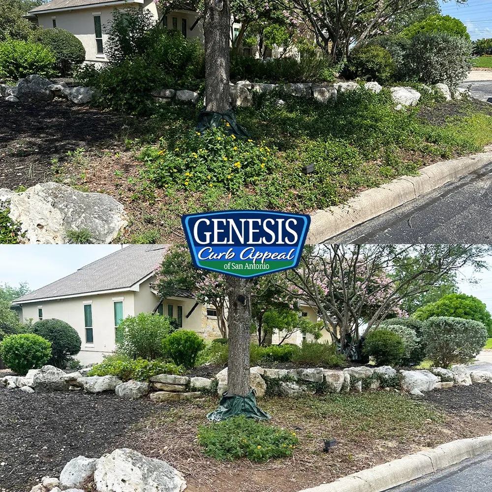 Local yard maintenance in San Antonio, TX by Genesis Curb Appeal