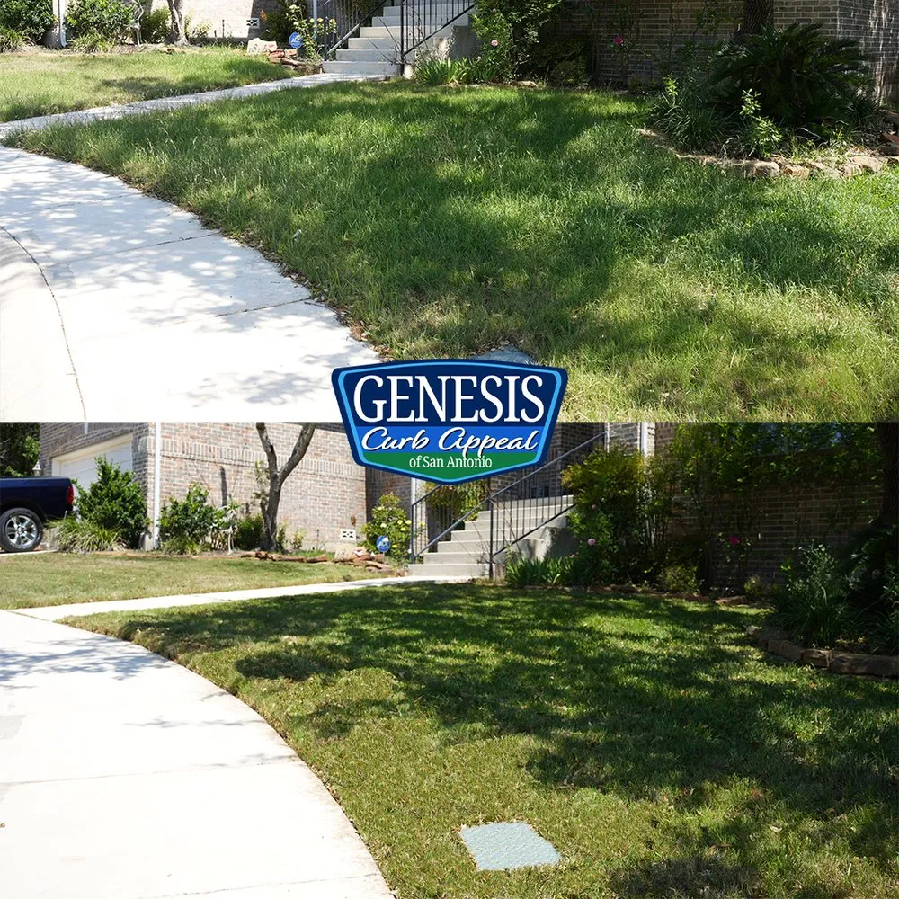 Reliable landscaping services in San Antonio, TX by Genesis Curb Appeal