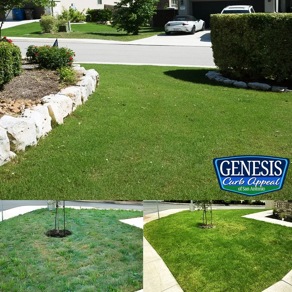 Reliable yard cleanup service in San Antonio, TX by Genesis Curb Appeal