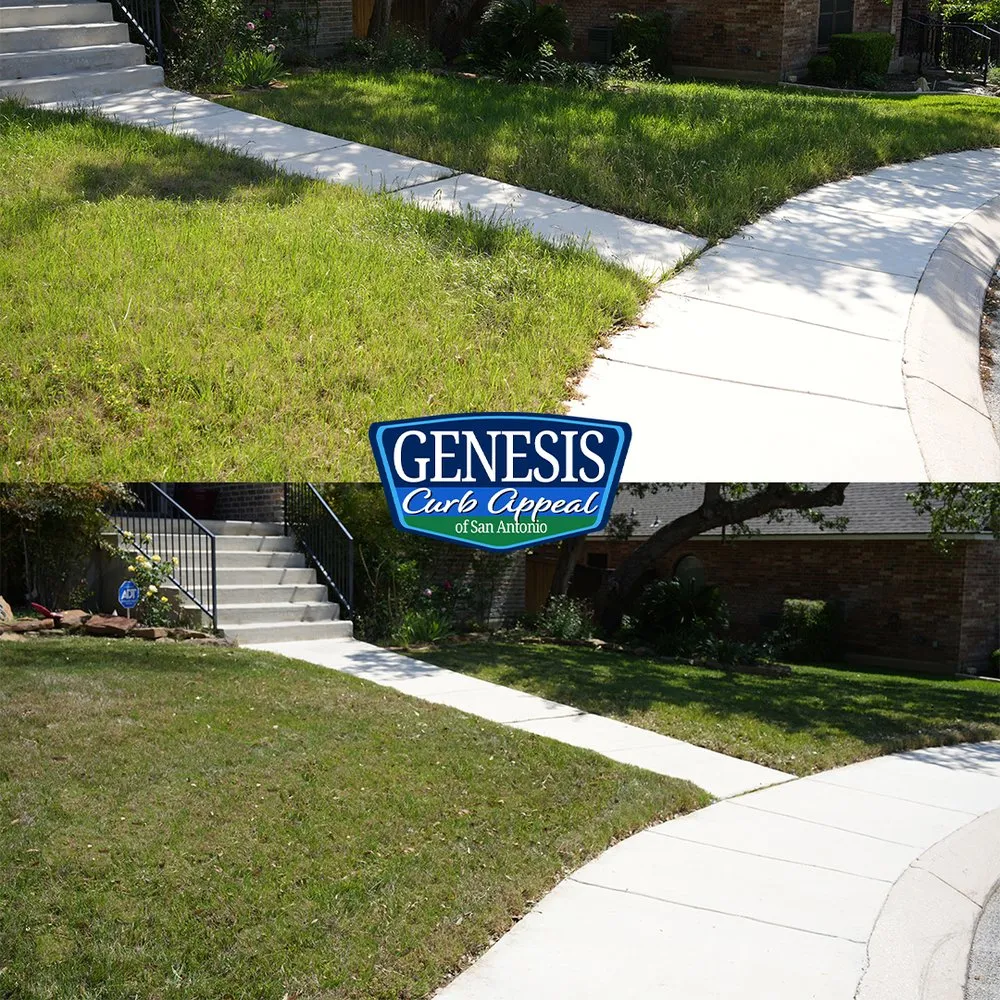 Local landscaping services in San Antonio, TX - Genesis Curb Appeal