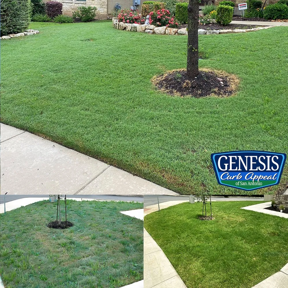 Affordable landscaping services in San Antonio, TX by Genesis Curb Appeal