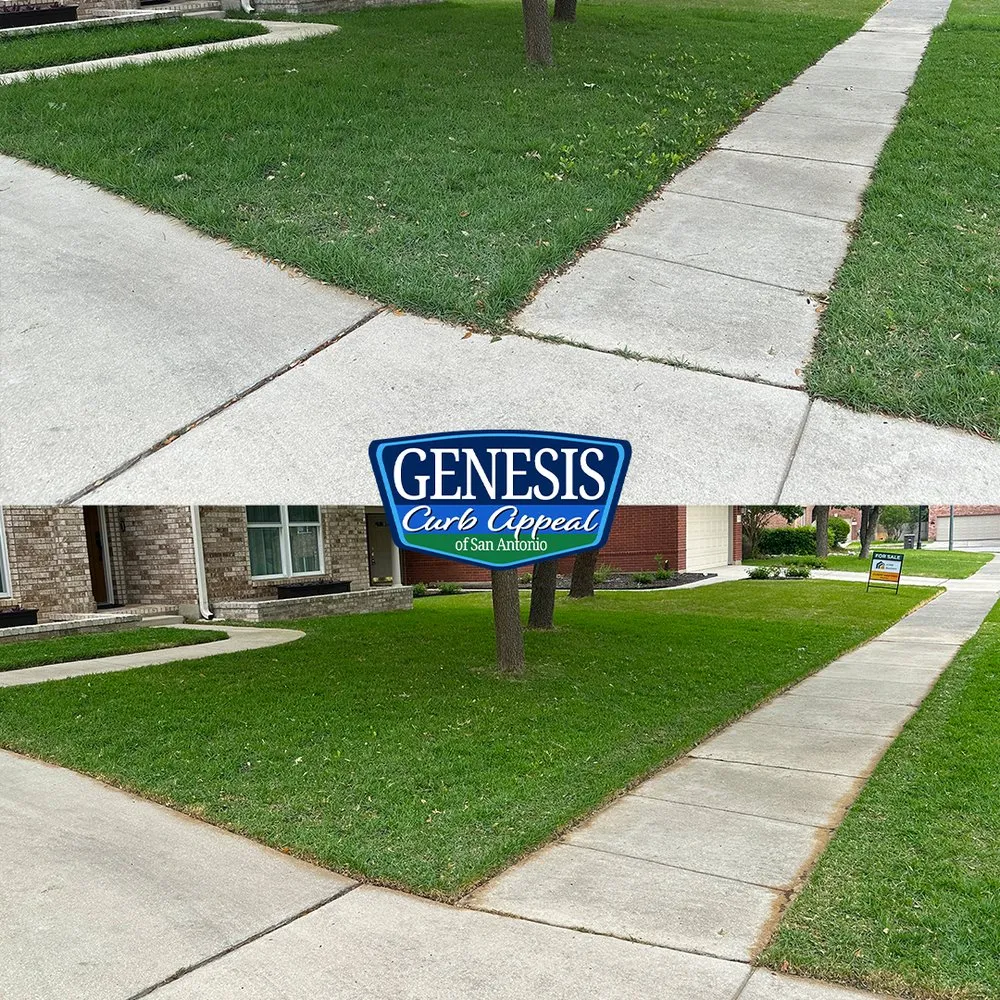 Affordable yard cleanup service for outdoor upgrades across San Antonio, TX - Genesis Curb Appeal