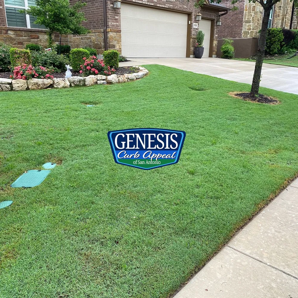 Local yard cleanup service with custom design across San Antonio, TX - Genesis Curb Appeal