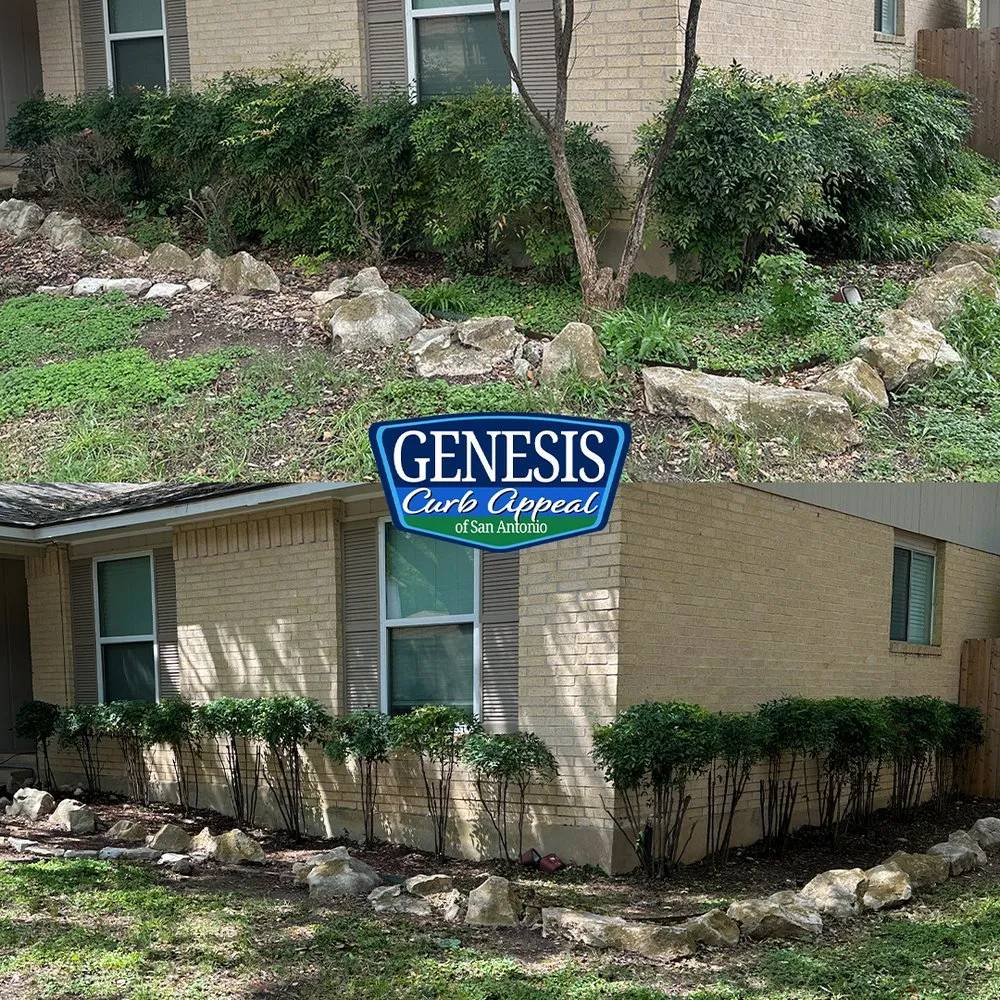Top-rated landscaping services for outdoor upgrades across San Antonio, TX - Genesis Curb Appeal
