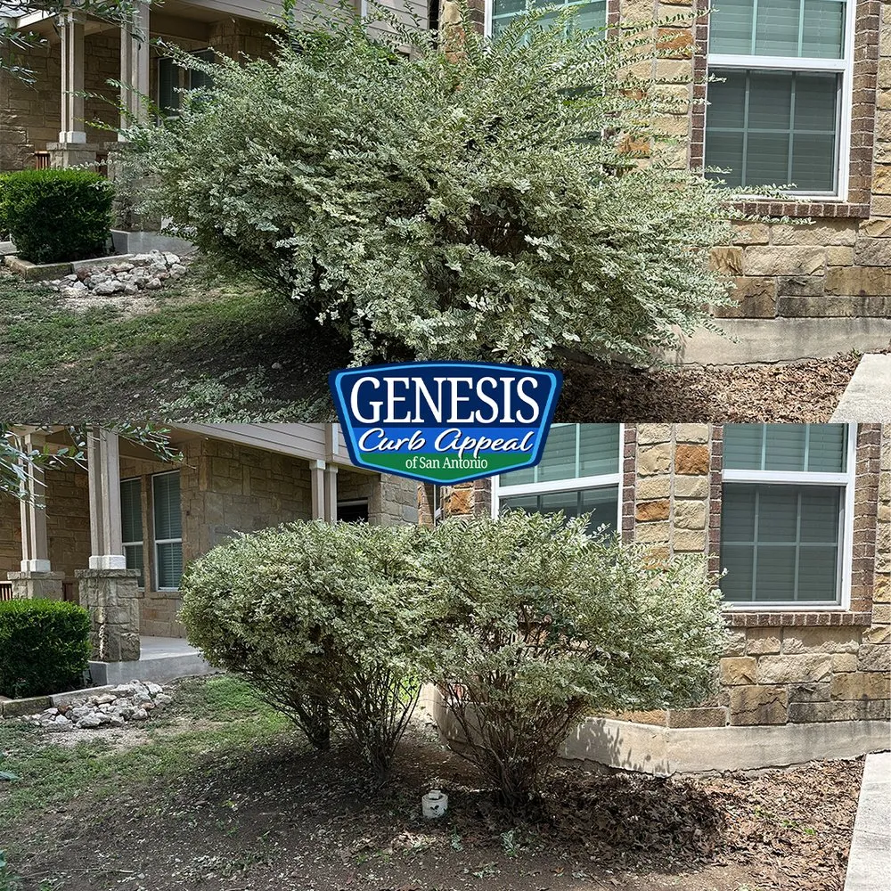 Top-rated garden landscaping in San Antonio, TX - Genesis Curb Appeal