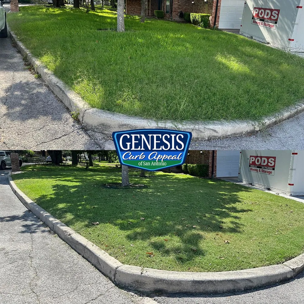 Custom landscape installation in San Antonio, TX by Genesis Curb Appeal