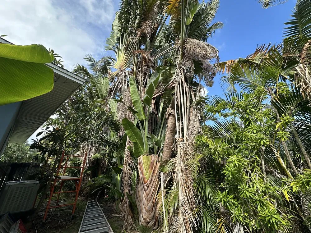 Trusted garden landscaping in Lake Worth Beach, FL - Genesis Design Scape Services