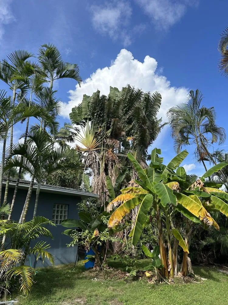 Reliable residential landscaping for beautiful yards in Lake Worth Beach, FL by Genesis Design Scape Services