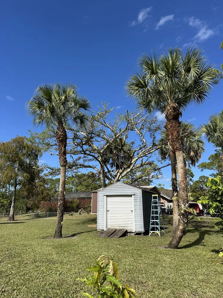 Reliable outdoor landscaping for beautiful yards across Lake Worth Beach, FL - Genesis Design Scape Services
