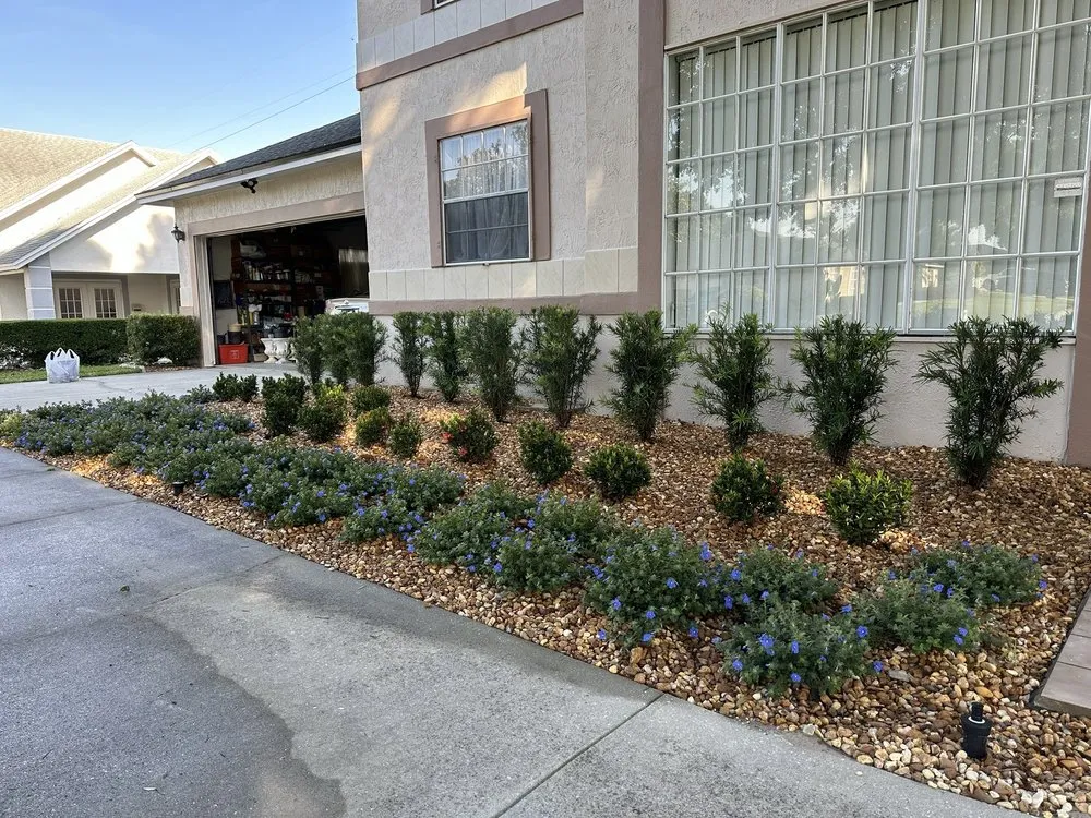 Expert yard maintenance experts serving Winter Park, FL - Genesis EcoGroup