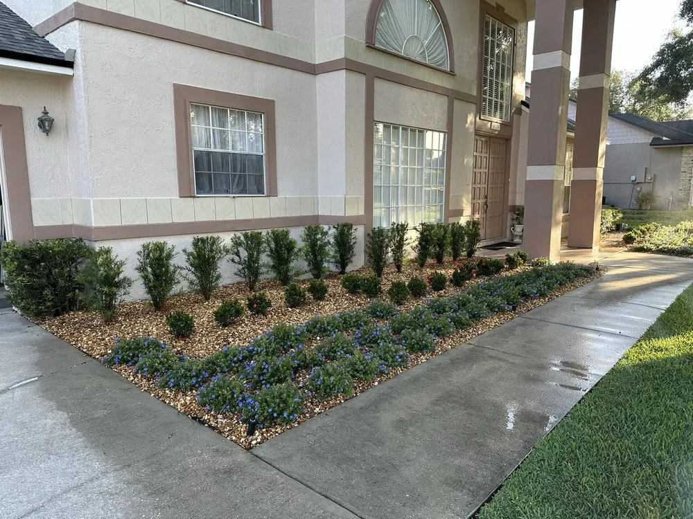 Affordable yard cleanup service in Winter Park, FL - Genesis EcoGroup