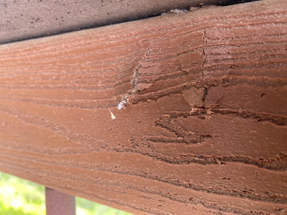 Expert landscaping services in Colorado Springs, CO by Genesis Group