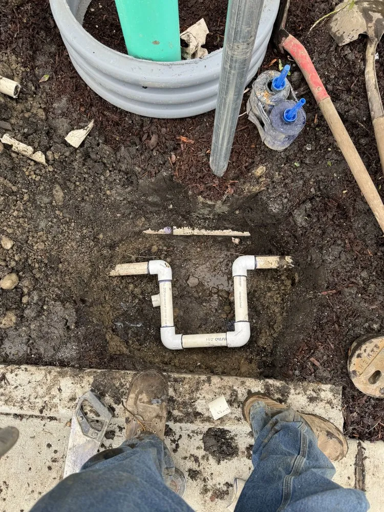 Top-rated landscaping services for homes across Olympia, WA - Genesis Growing