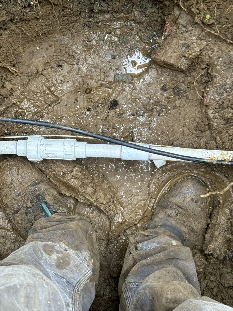 Trusted landscape installation experts serving Olympia, WA - Genesis Growing