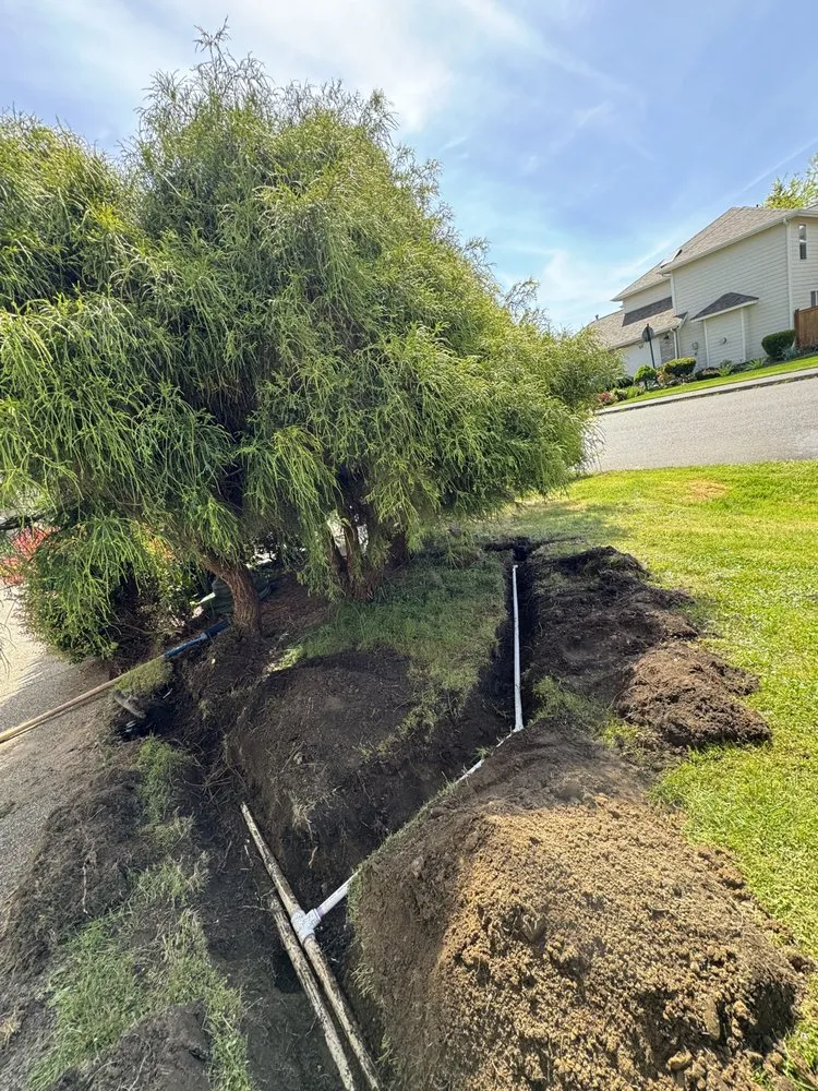 Affordable yard maintenance experts serving Olympia, WA - Genesis Growing