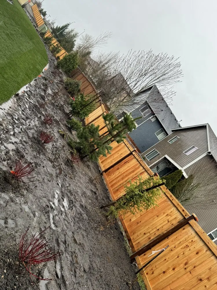 Affordable residential landscaping in Olympia, WA - Genesis Growing