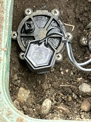 Genesis Growing Logo