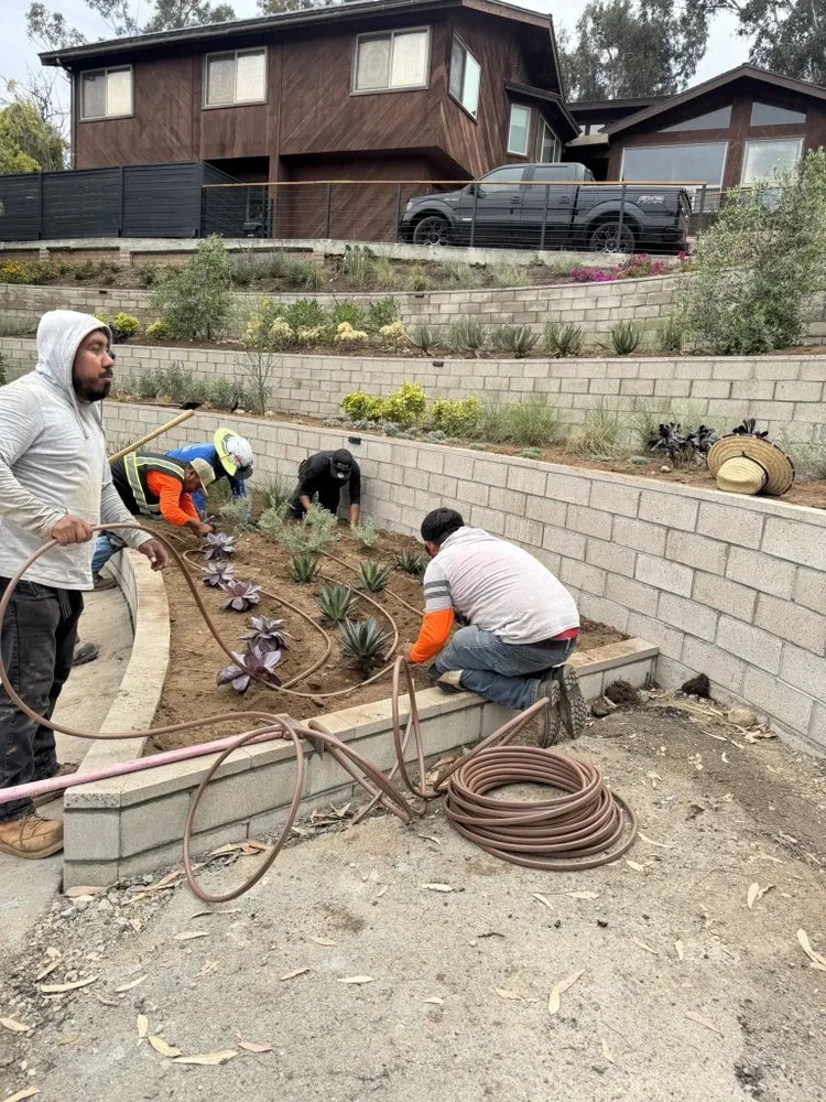 Affordable outdoor landscaping for year-round maintenance in Escondido, CA by Genesis Landcare & Irrigation