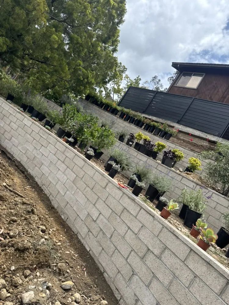 Affordable outdoor landscaping experts serving Escondido, CA - Genesis Landcare & Irrigation