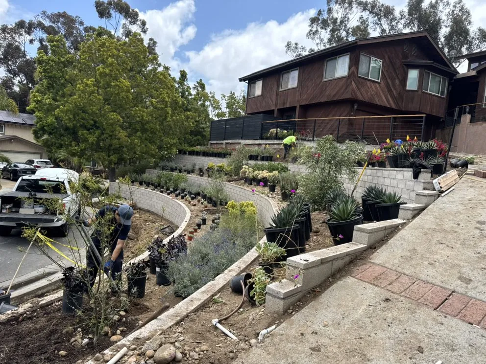Reliable landscaping services with custom design in Escondido, CA by Genesis Landcare & Irrigation