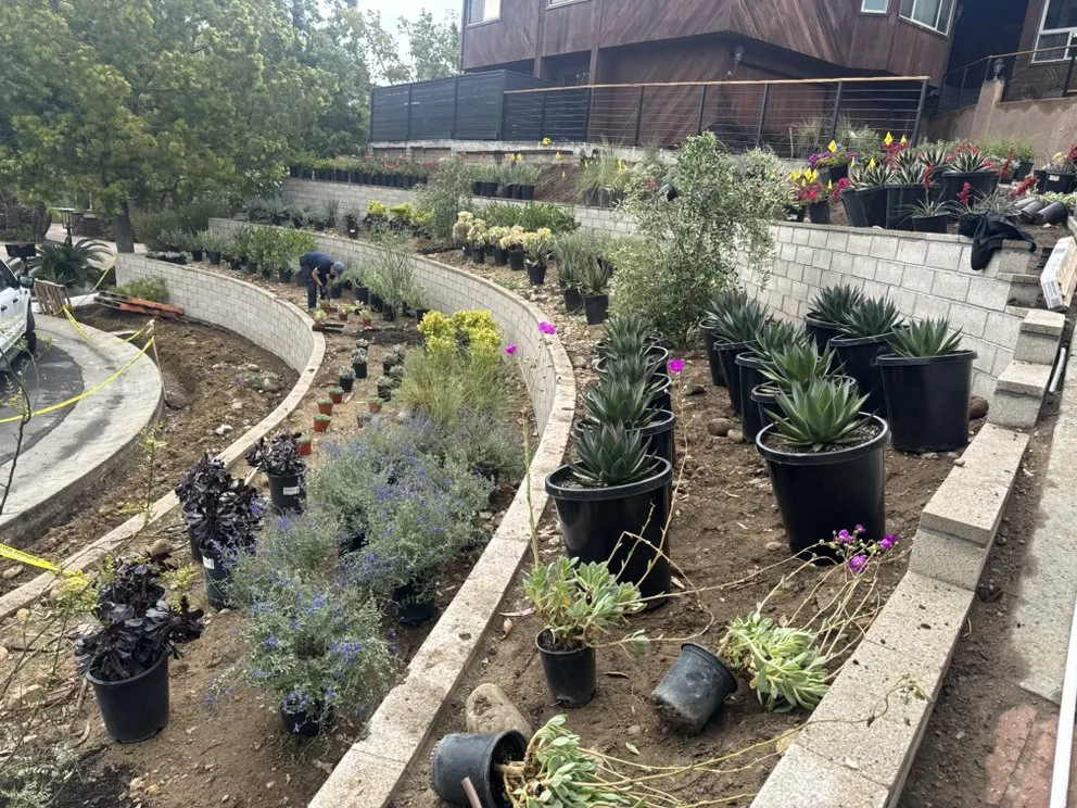 Custom garden landscaping for residential properties in Escondido, CA by Genesis Landcare & Irrigation