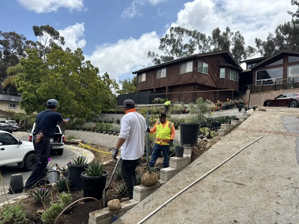 Local landscape design experts serving Escondido, CA - Genesis Landcare & Irrigation