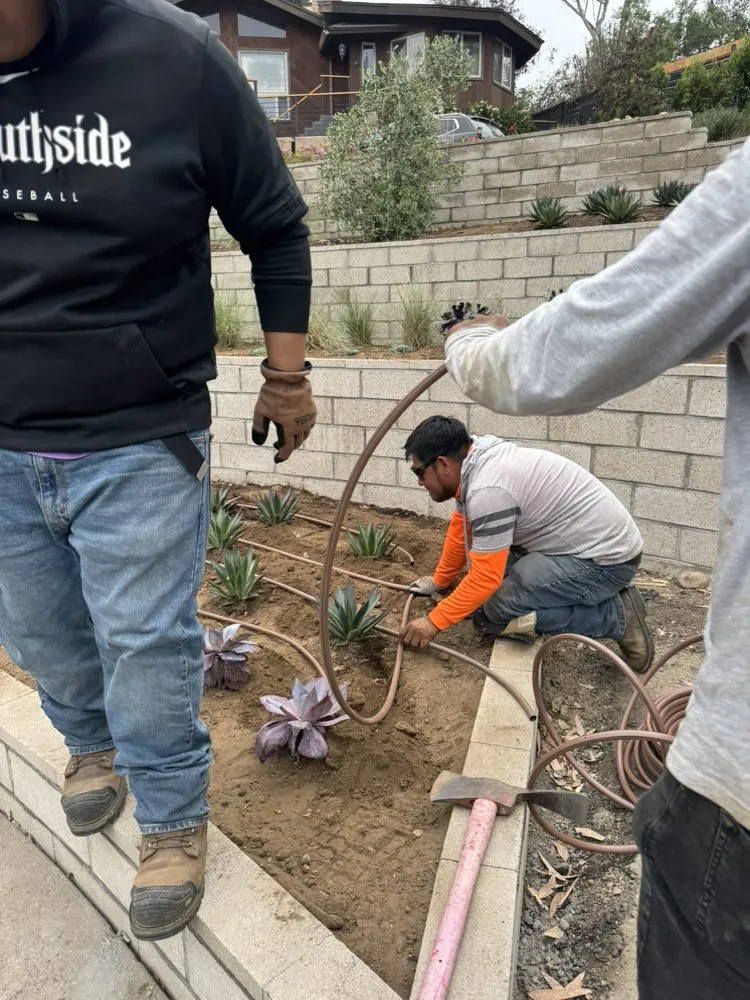 Top-rated garden landscaping in Escondido, CA by Genesis Landcare & Irrigation