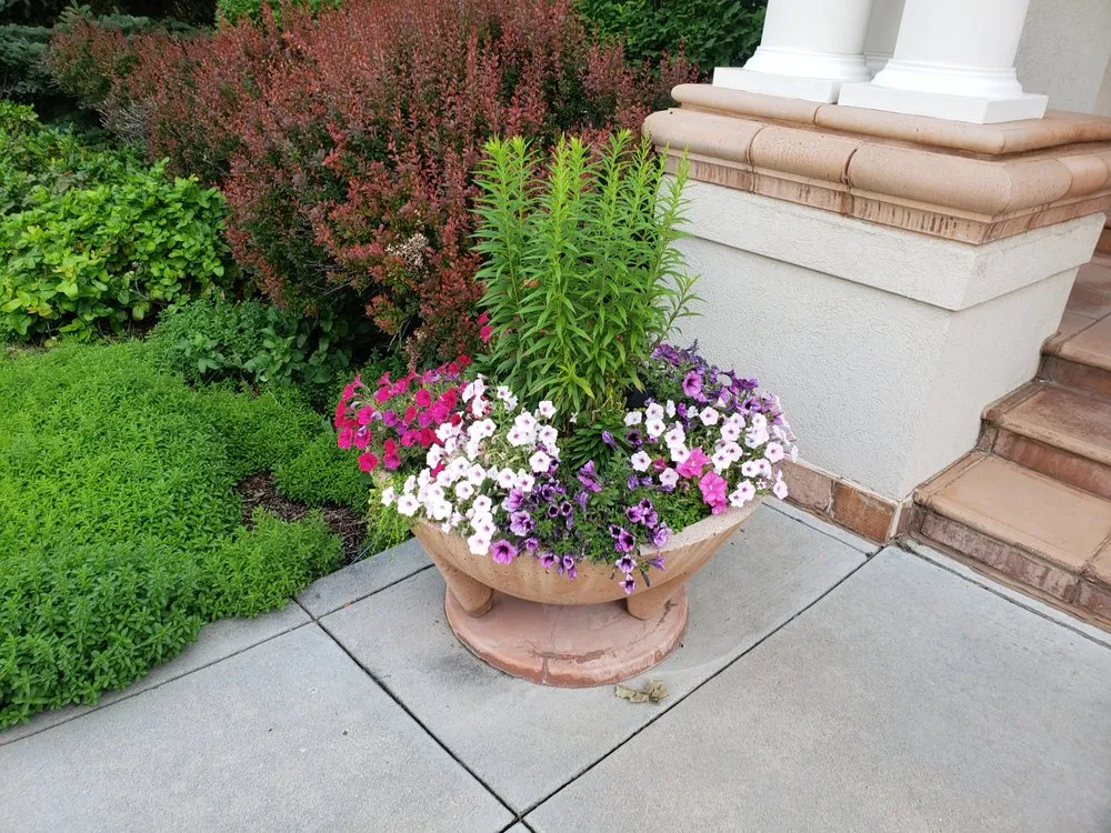 Professional outdoor landscaping with custom design across Denver, CO - Genesis Landscape and Irrigation