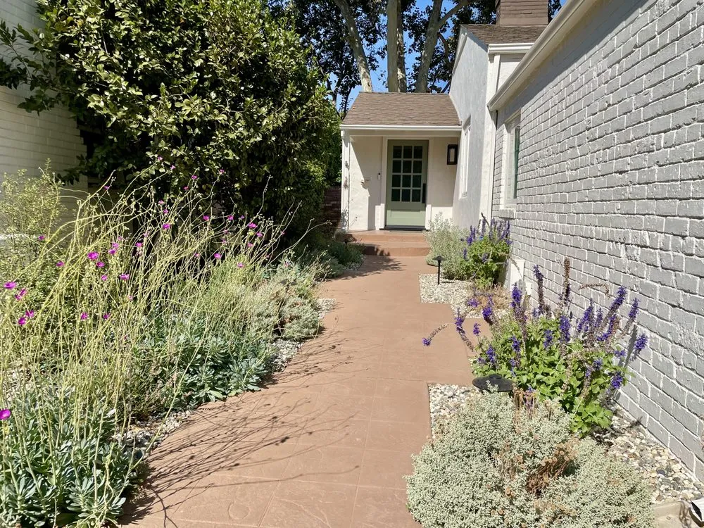 Top-rated yard cleanup service in Sacramento, CA by Genesis Landscapes
