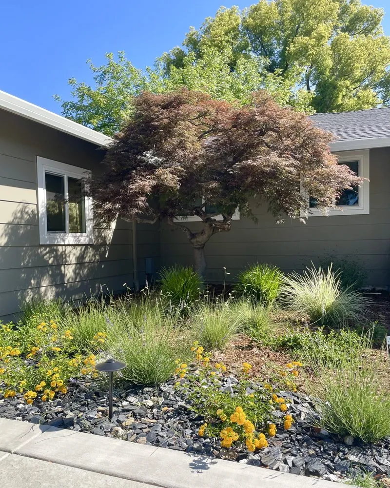 Professional landscaping services for outdoor upgrades across Sacramento, CA - Genesis Landscapes