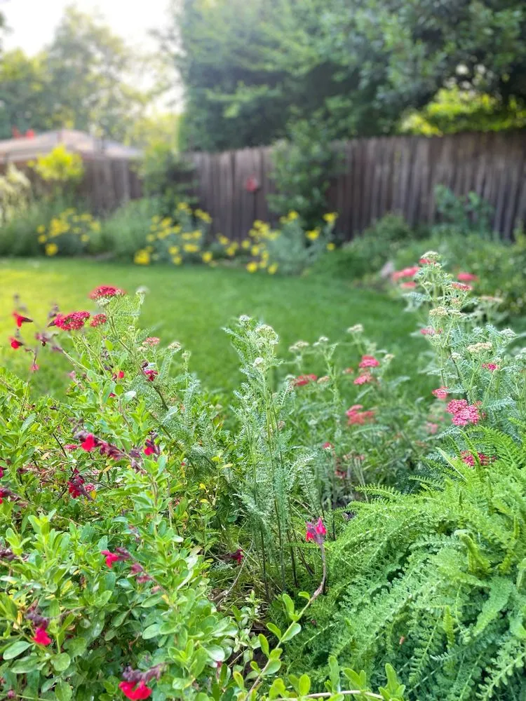 Trusted landscape design in Sacramento, CA - Genesis Landscapes