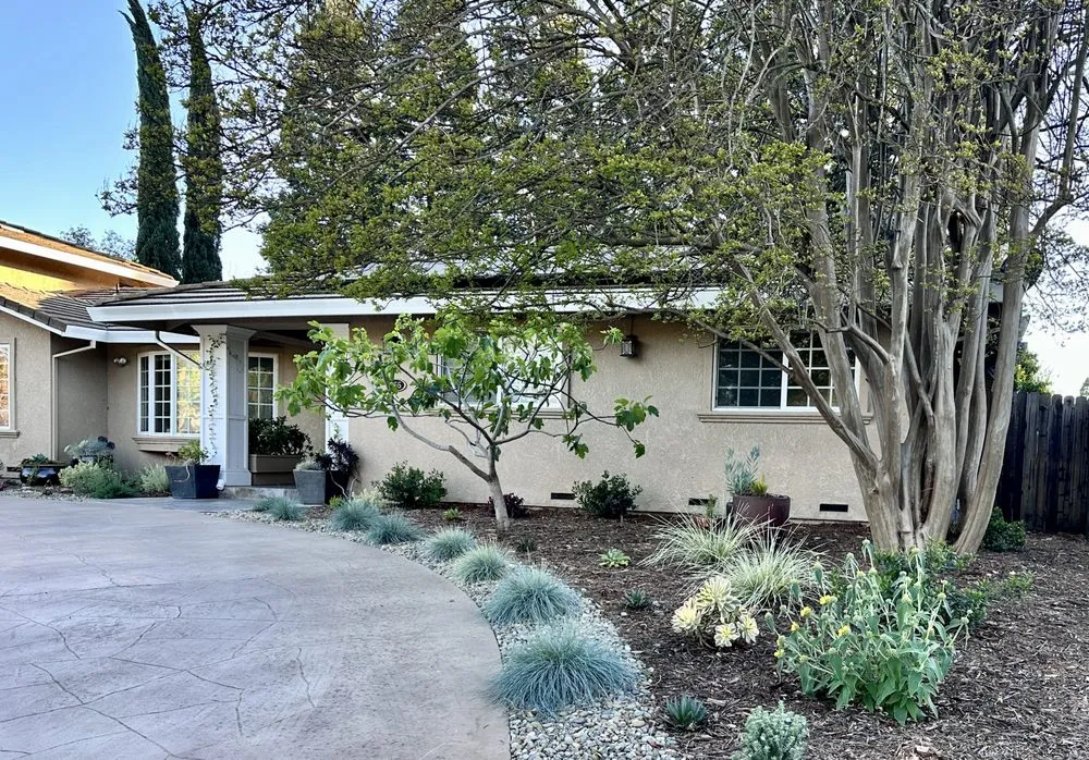 Affordable residential landscaping for outdoor upgrades in Sacramento, CA by Genesis Landscapes