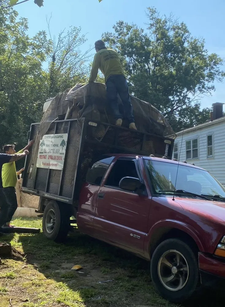 Expert landscaping services in Temple Hills, MD - Genesis Landscaping & Junk Removal