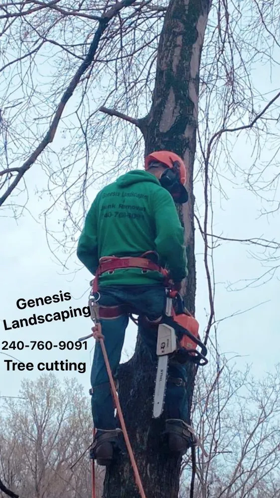 Affordable garden landscaping in Temple Hills, MD - Genesis Landscaping & Junk Removal